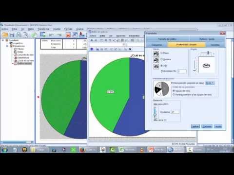 Manual Básico IBM SPSS Statistics V. 22 (Parte 1 de 2)