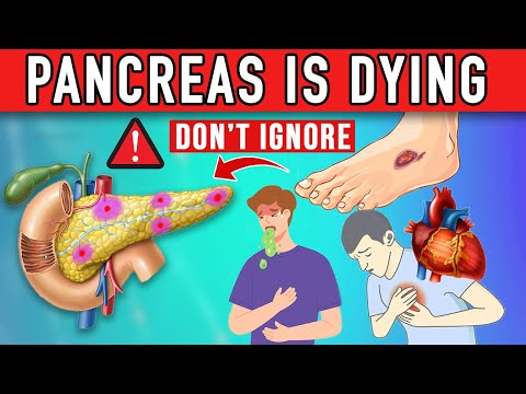 The Warning Signs of Pancreatic Disease! Your Body Cries About Pancreatic Issues!