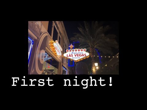 Vegas Vlog 1 1/2