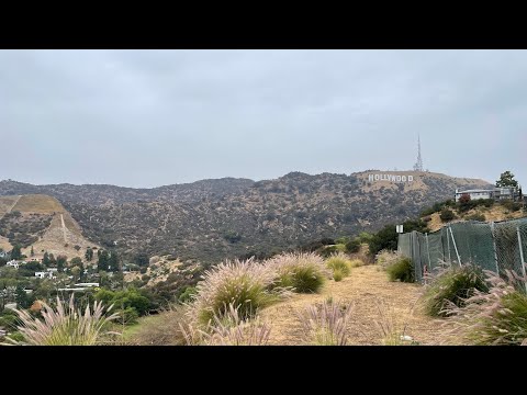 The Hollywood Sign