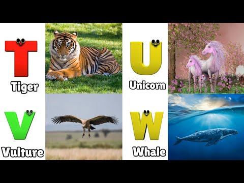 Animals ABC Song | Animals Alphabet Song | Alphabet Letters | Phonics for Kids