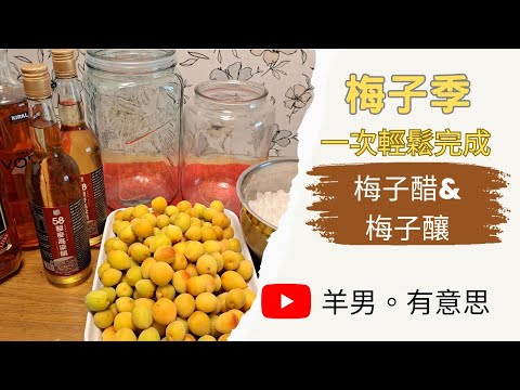 梅子季來囉～梅子醋＆梅子釀一次完成