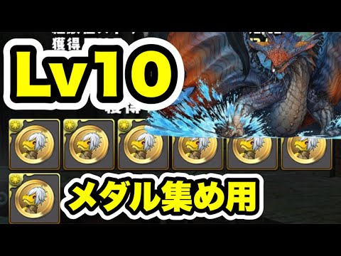 【メダル集め用】全ワンパン‼️ GA文庫コラボ 上級編 Lv10 ネロミェール 周回編成・立ち回り紹介！！【#GA文庫コラボ】【パズル&ドラゴンズ/#パズドラ】