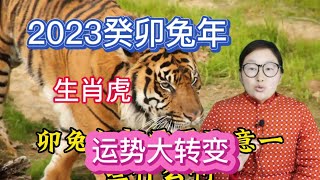 2023癸卯兔年/属相虎的人运程大转变，生肖虎还需要注意一些事项？#生肖運勢 #属相 #生肖百科