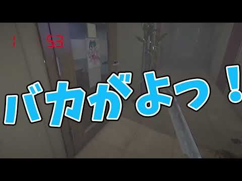 【切り抜き】行く道をふさがれて口が悪くなるヤツ【ヒトカラ】