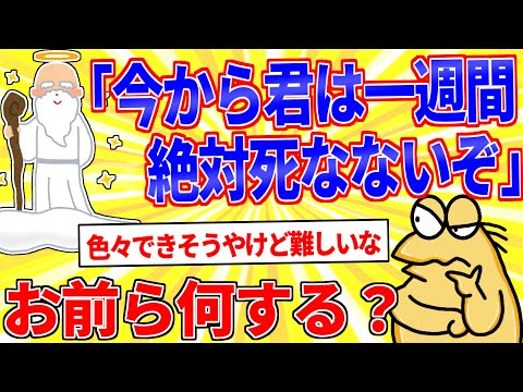 神「たった今から君は一週間絶対死なないぞ」←何する？【2ch面白いスレゆっくり解説】