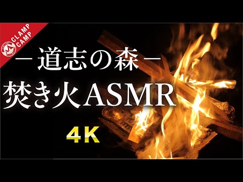 【焚き火ASMR】道志の森で焚き火　くつろぎの30分「癒し、焚き火　音、4K、睡眠導入、自然音、BGM、ヒーリング、asmr」