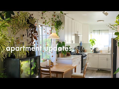 Apartment Updates | creating new plant displays, designing with plants