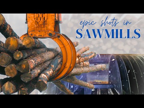 The Most INSANE Sawmill Shots You've NEVER Seen!