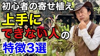 あなたの寄せ植えがたったこれだけで驚くほど綺麗に見せられます　　【カーメン君】【園芸】【ガーデニング】【初心者】