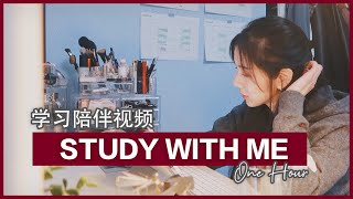 带音乐&环境声 | 1小时无间隔Study with Me | 学习陪伴视频 | 高度专注 | 跟我一起学习吧 | 荷兰留学