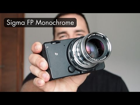 Sigma FP Monochrome Review