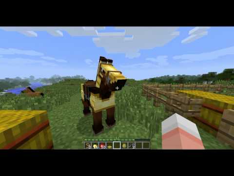 Minecraft Snapshot 13w16a! Part 3 (Horse Update)