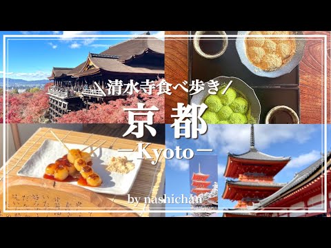 Autumn Kyoto sightseeing vlog/Eating around Kiyomizudera Temple/Enjoying Kyoto sweets/Nishiki Market