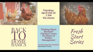 Thinking About Backyard Chickens? Learn the Basics of Poultry Management, Back to Home Basics