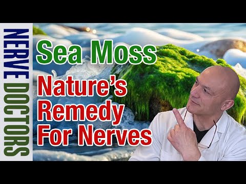 Sea Moss: Nature’s Remedy for Nerves - The Nerve Doctors