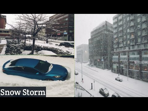 Snow Storm sound for relax | Snow | Snow storm | Snow storm sounds foe sleeping