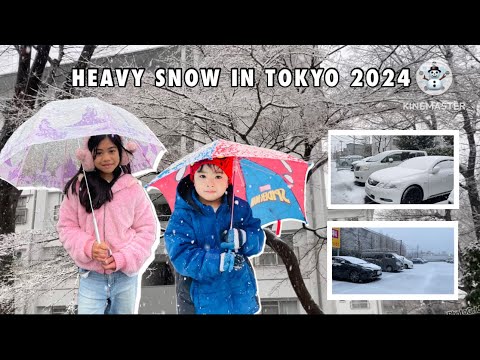 NAG SNOW NA ULIT SA TOKYO | 2024 ☃️🇯🇵