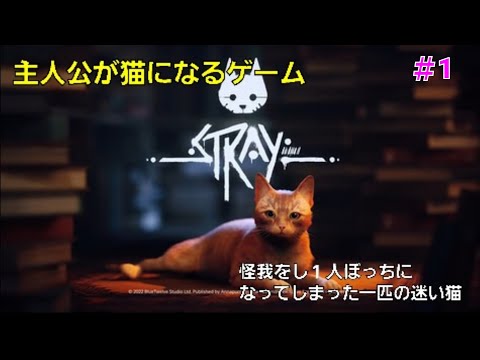 『Stray』#1怪我をし、ひとりぼっちになってしまった一匹の迷い猫。忘れ去られた都市から脱出するため、古代の謎を解く