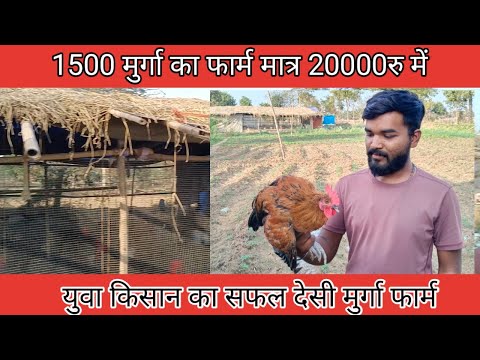 Low Cost Poultry Farm || Poultry Farming For Beginners || Poultry Farming Success Story