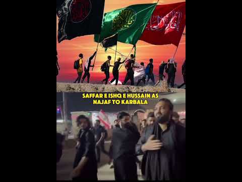 Arbaeen Walk Najaf To Karbala