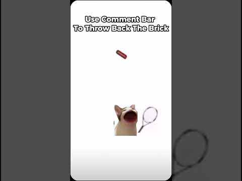 use the comment bar to hit back meme || #cat #memes #funny #comment #trending #meme