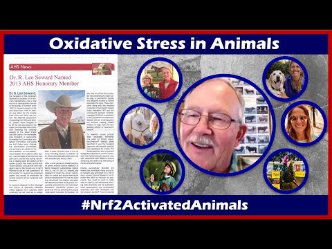 Dr. Lee Seward, DVM on Nrf2 & Oxidative Stress