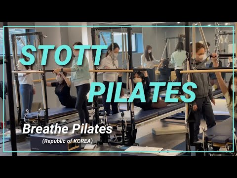 스탓필라테스 코스과정 (STOTT PILATES)