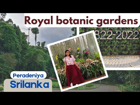 రాయల్ బొటానికల్ గార్డెన్స్ శ్రీలంక #peradeniya botanical gardens #srilanka #explore