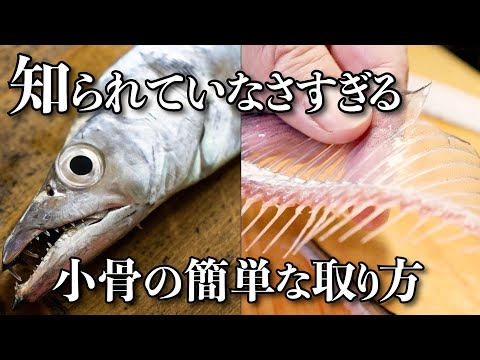 【小技】誰でもできる太刀魚の簡単な捌き方