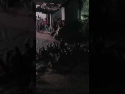 maa village lo ma inti mudhu  balgam movie #musical  #viral