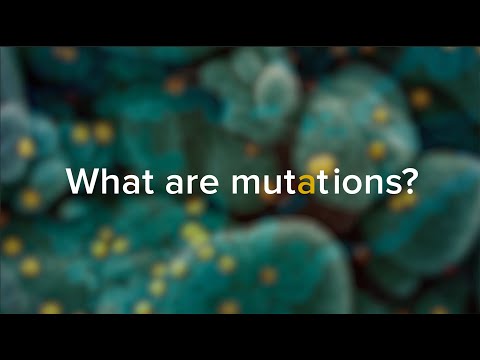 Understand COVID-19: Novel Coronavirus Mutations and Variants