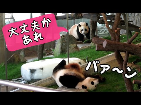 相変わらずの眠り姫🎀結浜　気にかけてあげる妹🍁楓浜