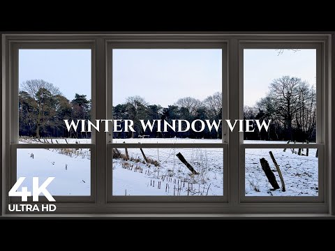 4K Winter field and forest window view - Relaxing, Calming, Ambience