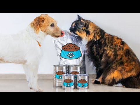 I stopped feeding raw… AND THIS HAPPENED! Feeding kibble after 13 years of the raw food diet