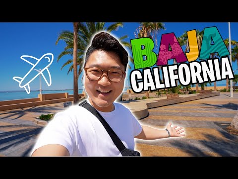 VLOG: VIAJE a BAJA CALIFORNIA SUR