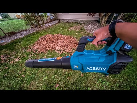 BEST Cordless Leaf Blower on Amazon? AceSky Leaf Blower.