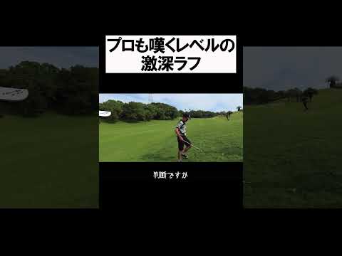 Kochi黒潮カントリークラブ　激深ラフ #shorts  #golf #矢野東 #男子プロ #ゴルフ #ラフ #片岡大育