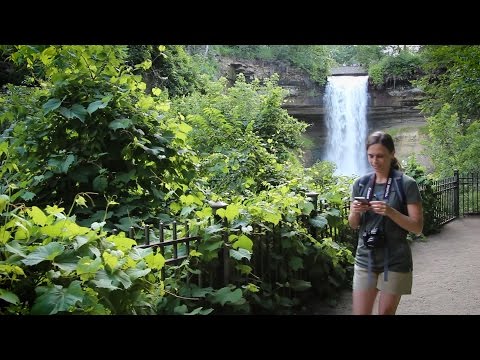 Distracted walking prevention - Don't miss your moment: Nature