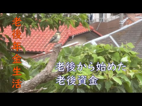 【70代年金生活】７３歳から始めた老後の貯金、最近の物価高で思うようにいきません。