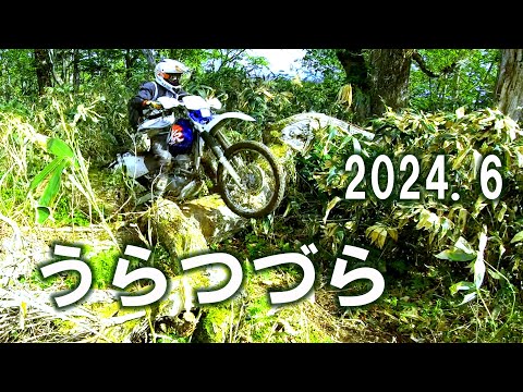 ハード気味林道　セロー225 伊藤塾　2024.6オフロードバイク　　Enduro Bike　うらつづら　反射板　Hokkaido　最年長は74歳！