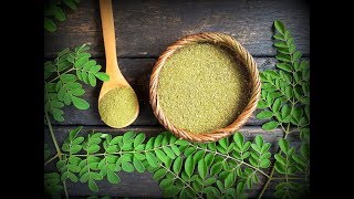 Moringa Oleifera - The Amazing Benefits of Moringa Oleifera