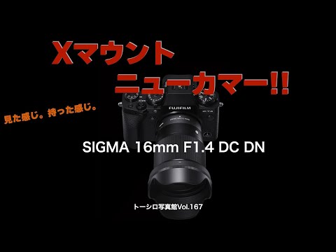 【逝ってしまいました】コスパ最高！SIGMA 16mm F1.4。見た感じ。触った感じ。