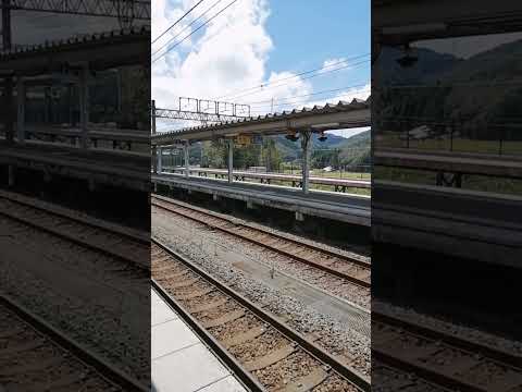 【近江塩津駅】北陸本線　湖西線　分岐駅　サンダーバード　滋賀県　#travel #滋賀県 #shorts