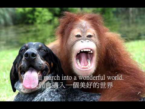 Song for animals