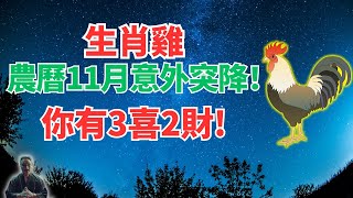 生肖雞！農曆十一月12月1日~30日，意外好運來襲，你有躲不過的3喜2財！是什麼？接！ 必看！ #生肖雞運勢 #生肖雞運程 #屬雞運勢 #屬雞運程