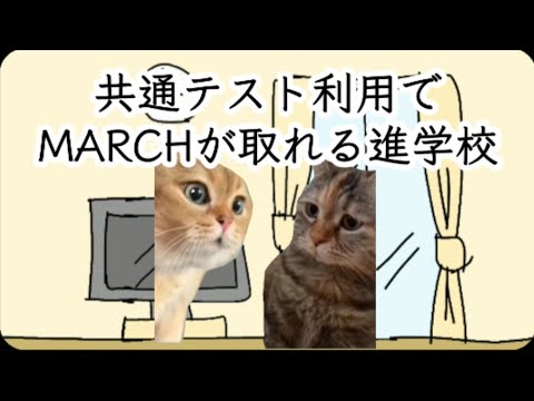 進学校では 底辺も共通テスト利用でMARCHが取れるらしい… #鈴木さんちの貧しい教育 #大学受験 #猫ミーム