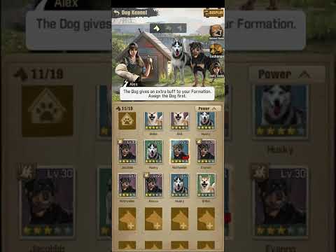 TWD Survivors: RNG Dog Luck For Legendaries