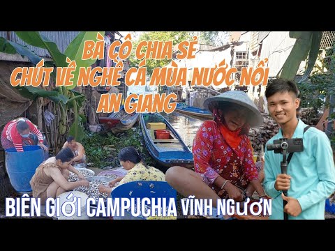 Mùa Nước Nổi cập Biên Giới Campuchia. bà cô chia sẻ 1 chút ít về Nghề Cá Linh Mùa Nứớc nổi.