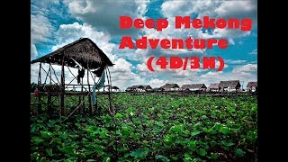 Deep Mekong Delta Tour (4D3N)